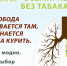 Нажмите для предварительного просмотра изображения - ГБУЗ Кузнецкая МРБ