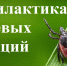 О профилактике клещевого вирусного энцефалита - Кузнецкий район