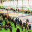 Открытый Всероссийский турнир по вольной борьбе М-7 OPEN-13 прошёл в Нижнекамске - Кузнецкий район