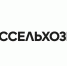 День семьи: более 90% российских пар украсят свои столы региональными и классическими блюдами - Кузнецкий район