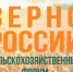 Форум «Зерно России-2026» - Кузнецкий район