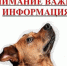 Внимание владельцам собак! - Кузнецкий район