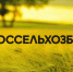 Обновлённый навигатор для начинающих фермеров от Россельхозбанка – новые направления и инструменты планирования - Кузнецкий район