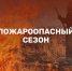В Пензенской области утверждён план подготовки к пожароопасному сезону 2026 года - Кузнецкий район