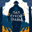 Палы сухой травы часто становятся причиной пожаров - Кузнецкий район