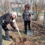 Сотрудники Детской школы искусств принимают участие в благоустройстве территории - Кузнецкий район